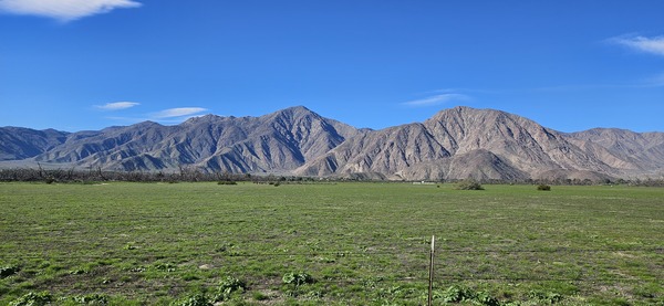 A wide-angle panoramic photograph of a vast green desert floor leading to a massive, rugged mountain range under a clear blue sky.