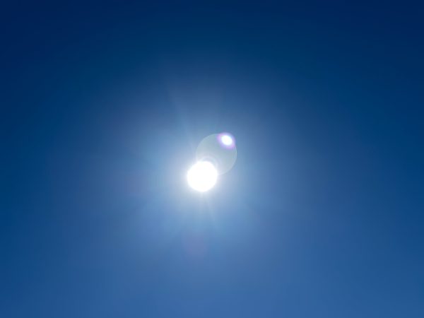 Over 100° in March? Life in Borrego Springs During a Heat Wave