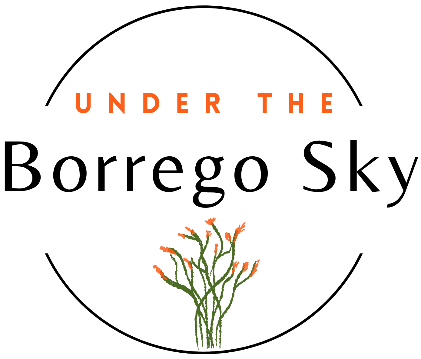 An orange-and-black logo centered within a thin black circular outline that is broken by the text. At the top, the words "UNDER THE" are written in a bold, orange, sans-serif font. Below this, the words "Borrego Sky" appear in a larger, elegant black serif font. At the bottom of the circle is a stylized illustration of an Ocotillo plant with green stems and bright orange blossoms at the tips.
